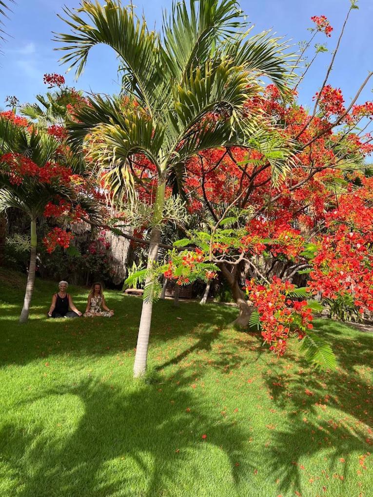 Blue Eagle Guesthouse - Casa De Hospedes サンタ・マリア エクステリア 写真